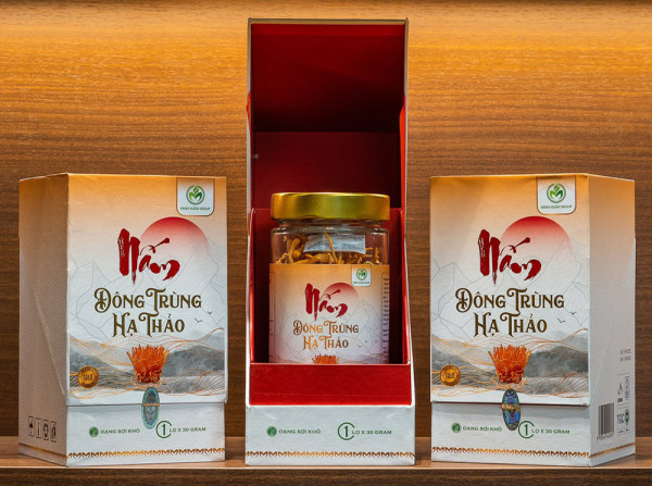 Nấm đông trùng hạ thảo sợi khô